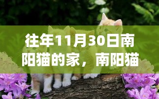 第1716页