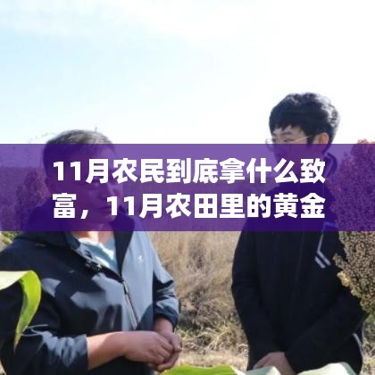 产品 第306页