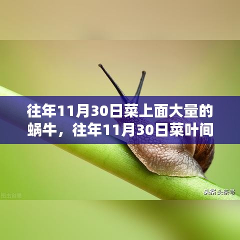 简介 第301页