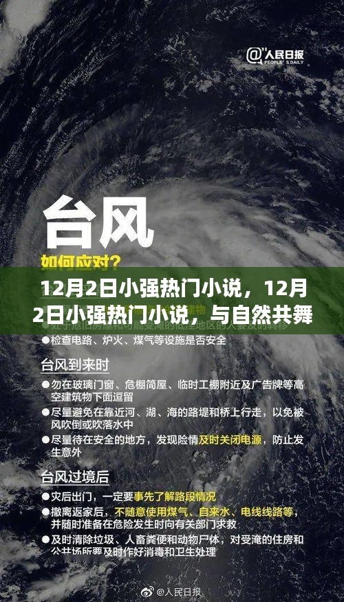 12月2日小强热门小说，与自然共舞的心灵奇妙之旅