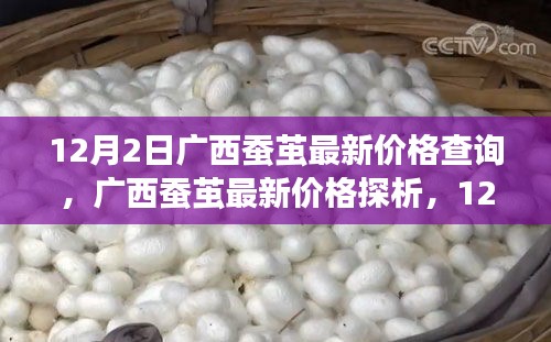 夫贵妻荣 第4页
