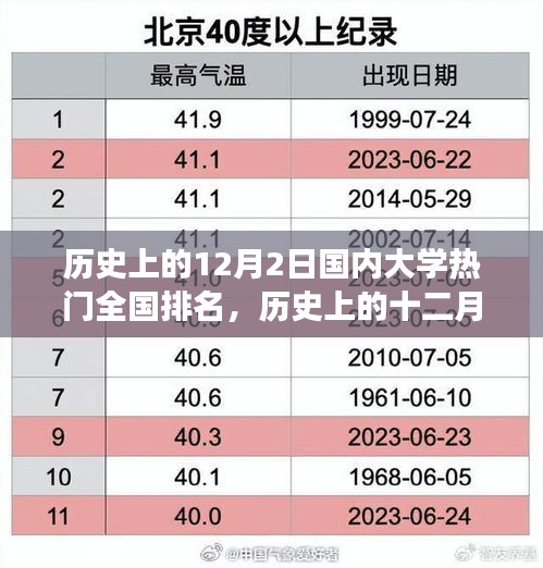 硕果仅存 第4页