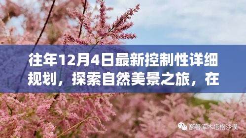 探索自然美景之旅，控制性详细规划下的心灵宁静之旅