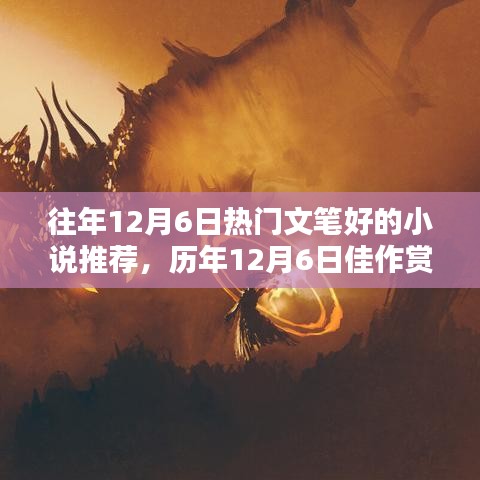 历年12月6日佳作赏析，精选文笔流畅小说推荐与赏析