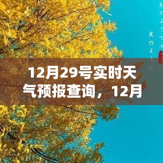 12月29号实时天气预报查询产品全面评测与介绍