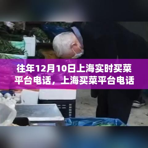 上海买菜平台电话背后的时代记忆与变迁故事