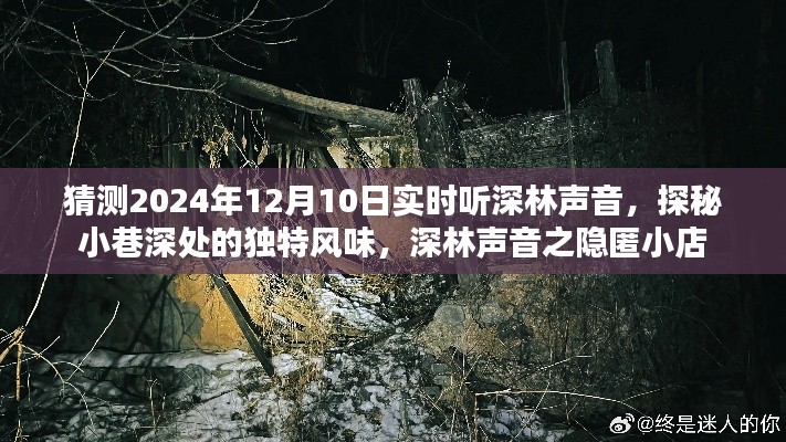 深林声音探寻记，隐匿小店的独特风味与探秘之旅（2024年12月10日实时体验）