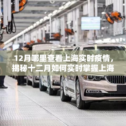 揭秘，如何实时查看上海疫情动态，掌握十二月最新疫情信息
