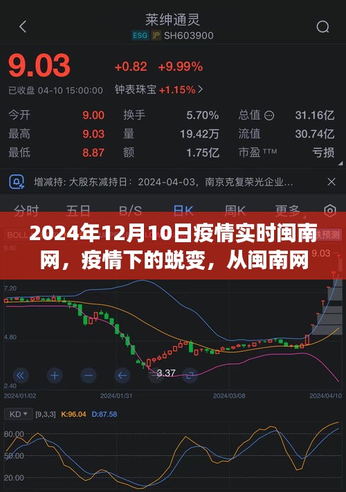 闽南网疫情实时报道，疫情下的蜕变与学习的自信与成就感