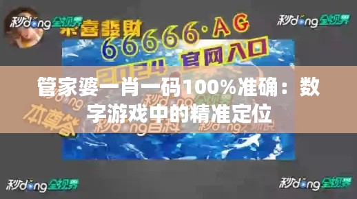 管家婆一肖一码100%准确：数字游戏中的精准定位