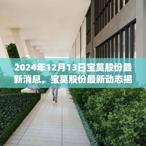 2024年12月13日宝莫股份最新动态深度分析与展望，揭秘最新消息和未来展望