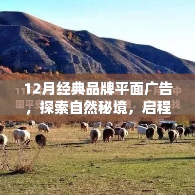 探索自然秘境，启程心灵之旅，品牌平面广告带你领略美景，寻找内心平静——十二月精选广告赏析