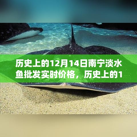 草创未就 第3页