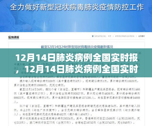 12月14日肺炎病例全国实时报及其产品评测报告