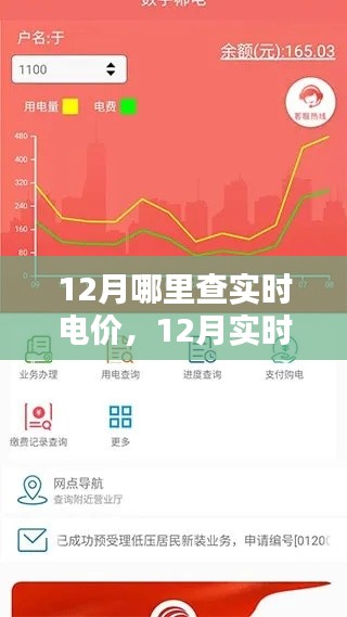 12月实时电价查询全攻略，轻松掌握所在地区电价动态