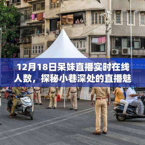 呆妹直播12月18日实时盛况，小巷深处的魅力与热情观众互动见证