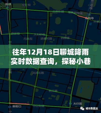 探秘聊城小巷雨韵，降雨实时数据与独特小店的雨中时光