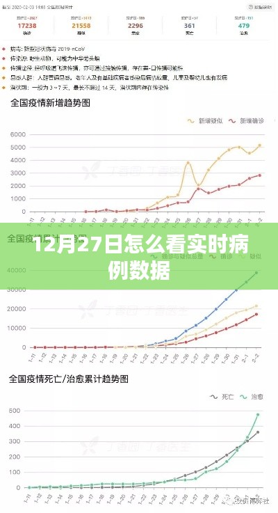 12月27日实时病例数据查看指南
