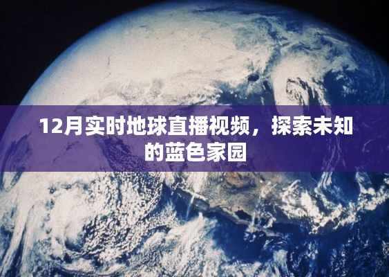 束手就缚 第3页