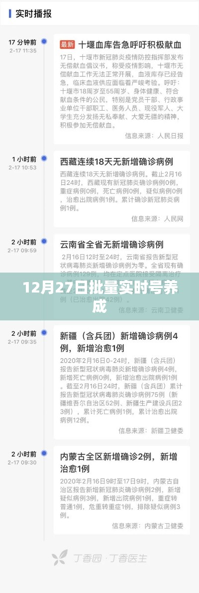 实时号批量养成的秘密，揭秘背后的秘密策略