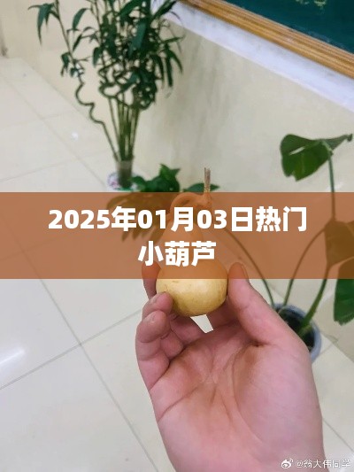 勤勤恳恳 第2页