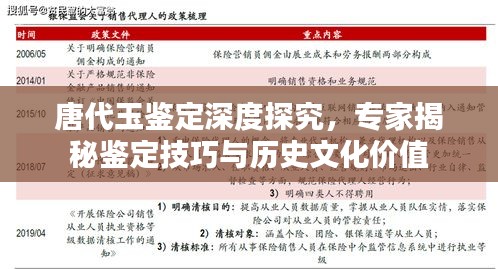 唐代玉鉴定深度探究，专家揭秘鉴定技巧与历史文化价值