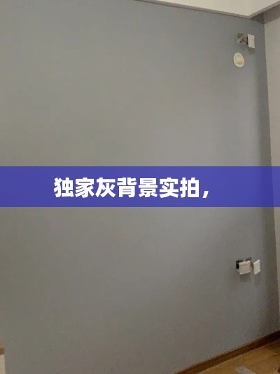 独家灰背景实拍， 