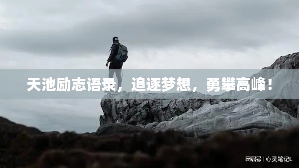 动态 第102页