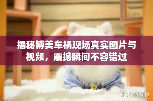 飞潜动植 第2页