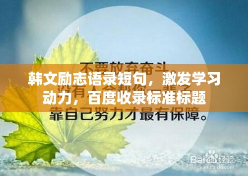 韩文励志语录短句，激发学习动力，百度收录标准标题
