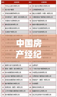 中国房产经纪专家排名榜单揭晓，十大顶尖专家榜单解析