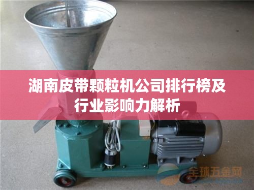 湖南皮带颗粒机公司排行榜及行业影响力解析