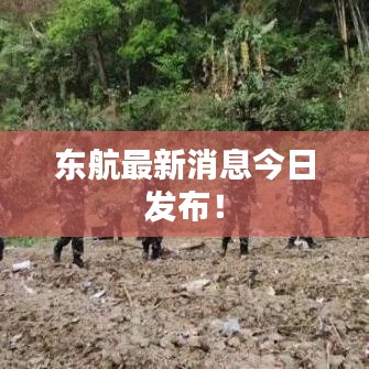 七贵三公 第2页