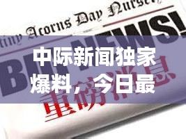 第438页