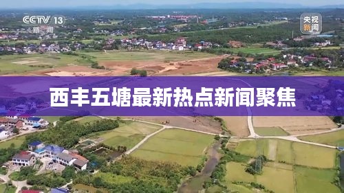 西丰五塘最新热点新闻聚焦