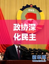 政协深化民主监督与参政议政，落实主体责任，坚实步伐前行