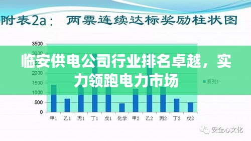 临安供电公司行业排名卓越，实力领跑电力市场