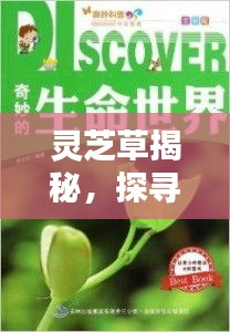 灵芝草揭秘，探寻草本世界的神奇奥秘