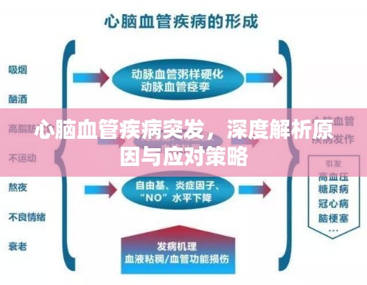 案例 第55页