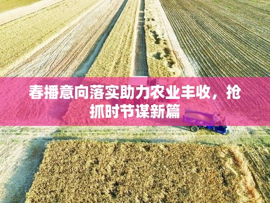 定谋贵决