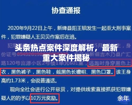 头条热点案件深度解析，最新重大案件揭秘