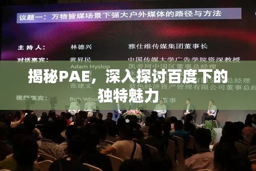 揭秘PAE，深入探讨百度下的独特魅力