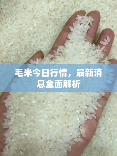 专心致志 第2页