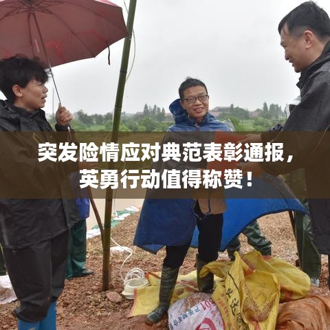 突发险情应对典范表彰通报，英勇行动值得称赞！