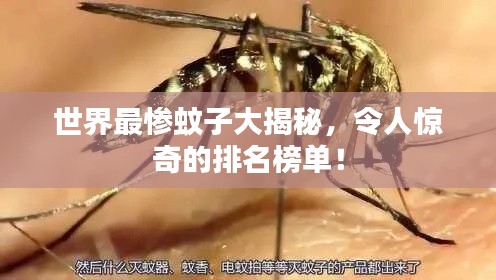 世界最惨蚊子大揭秘，令人惊奇的排名榜单！