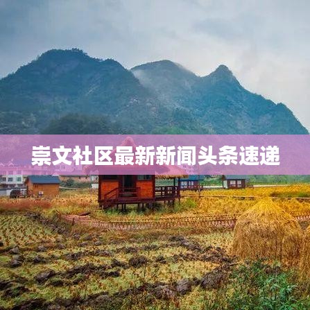 崇文社区最新新闻头条速递
