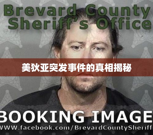 美狄亚突发事件的真相揭秘