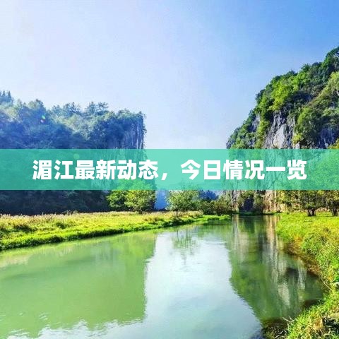 湄江最新动态，今日情况一览