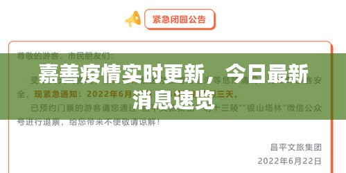 嘉善疫情实时更新，今日最新消息速览