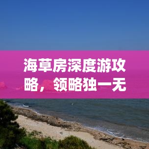 海草房深度游攻略，领略独一无二的海洋风情